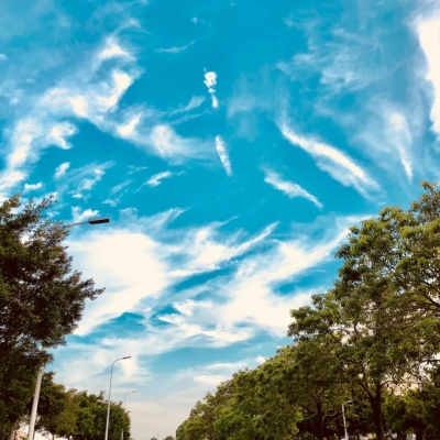 哈佛大学用15张逻辑图，说透了情商与幸福（再推）