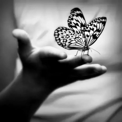 终于找全了：蝴蝶效应、青蛙现象、鳄鱼法则、羊群效应、二八定律......值得收藏